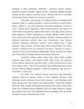 Švietimo raida Lietuvoje 1918 –1940 metais 3 puslapis