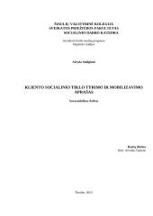 Kliento socialinio tinklo tyrimo ir mobilizavimo aprašas