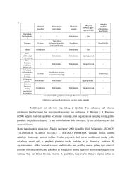 Kliento socialinio tinklo tyrimo ir mobilizavimo aprašas 5 puslapis