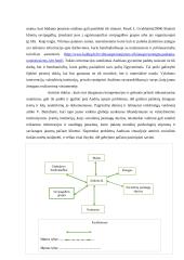 Kliento socialinio tinklo tyrimo ir mobilizavimo aprašas 6 puslapis