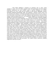 Pabėgėlių integravimas Lietuvoje: už/prieš 2 puslapis