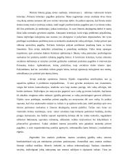 Atvejo analizės aprašas 2 puslapis