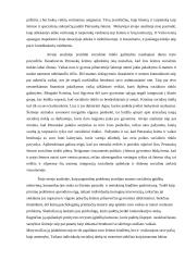 Atvejo analizės aprašas 3 puslapis