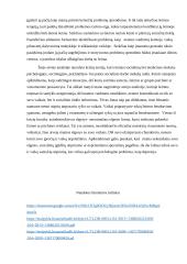 Atvejo analizės aprašas 4 puslapis