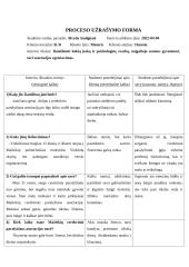 Interviu su klientu 2 puslapis