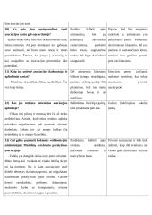 Interviu su klientu 4 puslapis