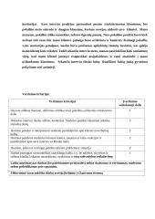 Interviu su klientu 7 puslapis