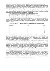 Ekonomika ir ekonomikos teorija 8 puslapis