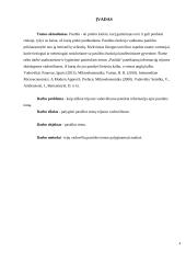 Pasiūlos analizė 4 puslapis