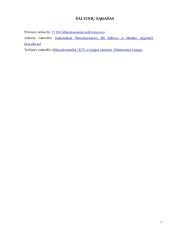 Pasiūlos analizė 7 puslapis