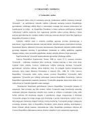 LR Vyriausybė Kaip viešojo administravimo objektas. 4 puslapis
