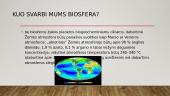 Biosfera ir biosferos ciklai 9 puslapis