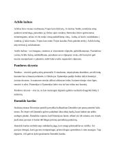 Graikų mitų išminties perlai (referatas) 3 puslapis