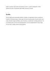 Graikų mitų išminties perlai (referatas) 5 puslapis