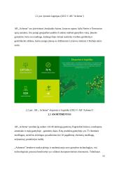 AB ,,Achema” produkto ,,AdBlue” logistinės grandinės analizė  17 puslapis