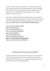 AB ,,Achema” produkto ,,AdBlue” logistinės grandinės analizė  20 puslapis