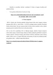 AB ,,Achema” produkto ,,AdBlue” logistinės grandinės analizė  10 puslapis