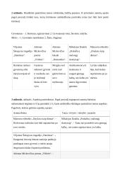 Gyvenimas ir mirtis vienuoliktos klasės literatūroje 3 puslapis