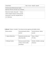 Gyvenimas ir mirtis vienuoliktos klasės literatūroje 4 puslapis