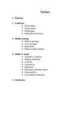 "Dėl skonio nesiginčijama" 2 puslapis