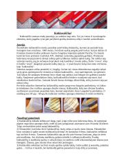 "Dėl skonio nesiginčijama" 19 puslapis