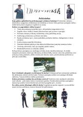 "Dėl skonio nesiginčijama" 4 puslapis