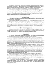 "Dėl skonio nesiginčijama" 9 puslapis