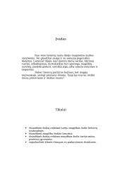 Magiško žodžio galia lietuvių liaudies tautosakoje 3 puslapis