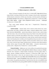 Baltijos šalių komercinių bankų sektoriaus analizė pasaulinės finansų krizės kontekste: pokyčiai bankiniame sektoriuje 4 puslapis