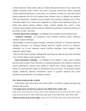 Maisto priedų poveikis sveikatai 6 puslapis
