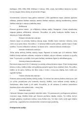 Referatas apie mąstymą 4 puslapis