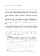 Referatas apie mąstymą 5 puslapis