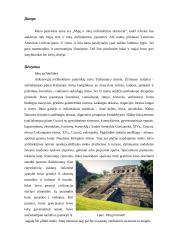 Majų ir inkų architektūros skirtumai