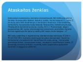 Jūrų transportas 12 puslapis