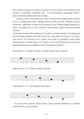 Mano laisvalaikis 11 puslapis