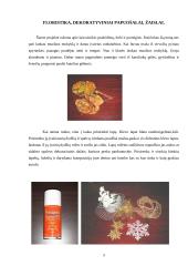 Mano laisvalaikis 2 puslapis