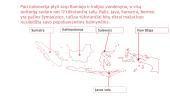 Pristatymas apie Indoneziją 7 puslapis