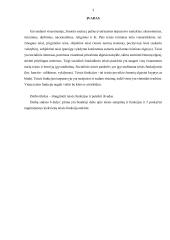 Teisės funkcijos (kursinis darbas) 3 puslapis