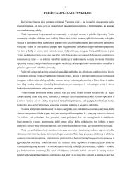 Teisės funkcijos (kursinis darbas) 4 puslapis