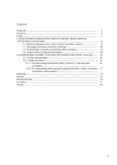 Komandinis darbas švietimo įstaigose kaip veiklos kokybės gerinimo veiksnys  2 puslapis