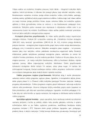 Komandinis darbas švietimo įstaigose kaip veiklos kokybės gerinimo veiksnys  13 puslapis