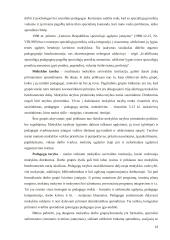 Komandinis darbas švietimo įstaigose kaip veiklos kokybės gerinimo veiksnys  14 puslapis