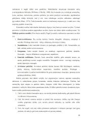 Komandinis darbas švietimo įstaigose kaip veiklos kokybės gerinimo veiksnys  18 puslapis