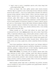 Komandinis darbas švietimo įstaigose kaip veiklos kokybės gerinimo veiksnys  19 puslapis