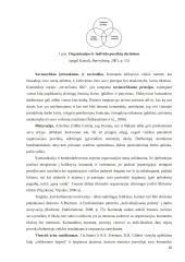 Komandinis darbas švietimo įstaigose kaip veiklos kokybės gerinimo veiksnys  20 puslapis