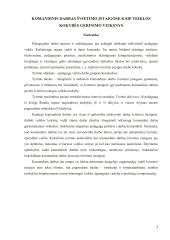 Komandinis darbas švietimo įstaigose kaip veiklos kokybės gerinimo veiksnys  3 puslapis