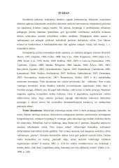 Komandinis darbas švietimo įstaigose kaip veiklos kokybės gerinimo veiksnys  5 puslapis