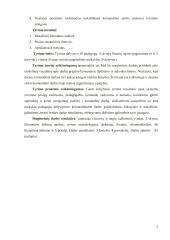 Komandinis darbas švietimo įstaigose kaip veiklos kokybės gerinimo veiksnys  7 puslapis