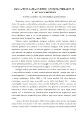 Komandinis darbas švietimo įstaigose kaip veiklos kokybės gerinimo veiksnys  8 puslapis