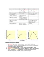 Ląstelės konspektas 15 puslapis